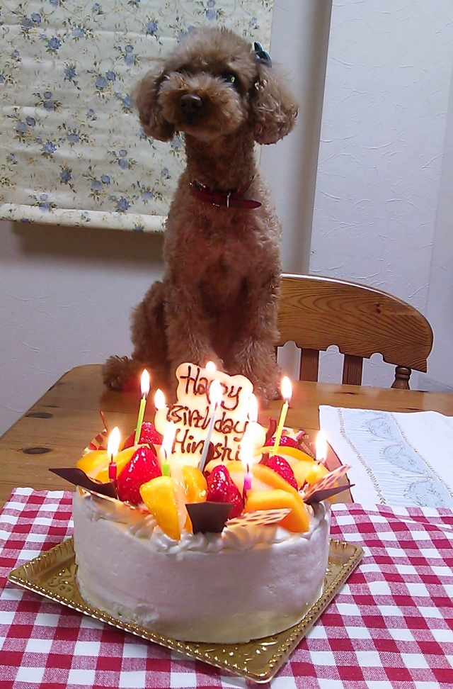 お誕生日おめでとうございます♪(*^_^*)