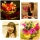 なおちゃんお誕生日おめでとうございます♪ なおちゃんお誕生日おめでとうございます♪