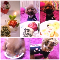 夢ちゃんお誕生日おめでとうございます 夢ちゃんお誕生日おめでとうございます